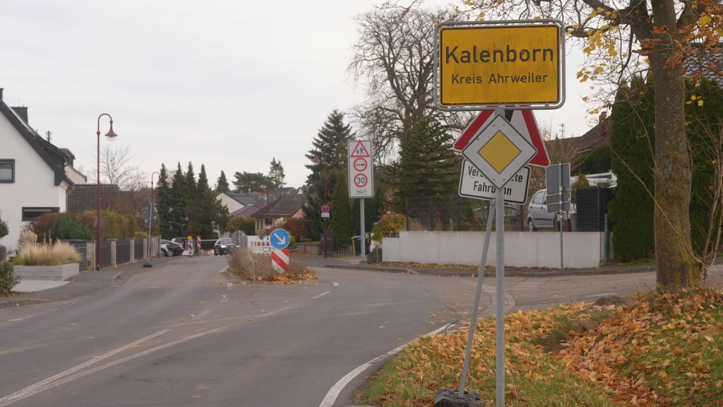 Im Wald bei Kalenborn wird nach einer mutmaßlichen Großkatze gesucht.