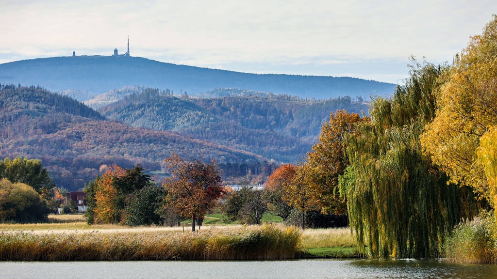 Herbst in Sachsen-Anhalt zeigt sich zur Wochenmitte von seiner sonnigen Seite.