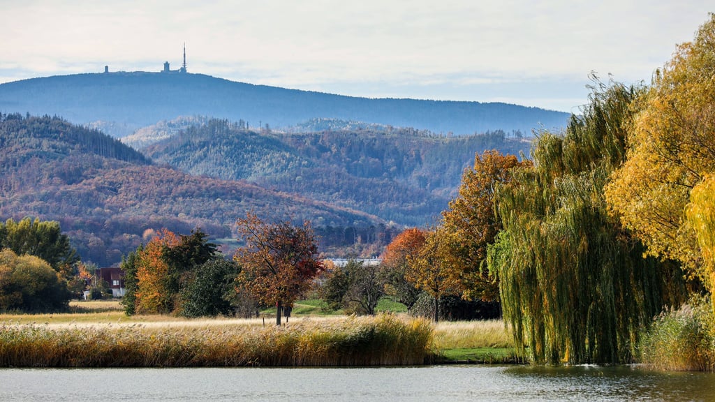 Der Herbst in Sachsen-Anhalt zeigt sich zur Wochenmitte von seiner sonnigen Seite.