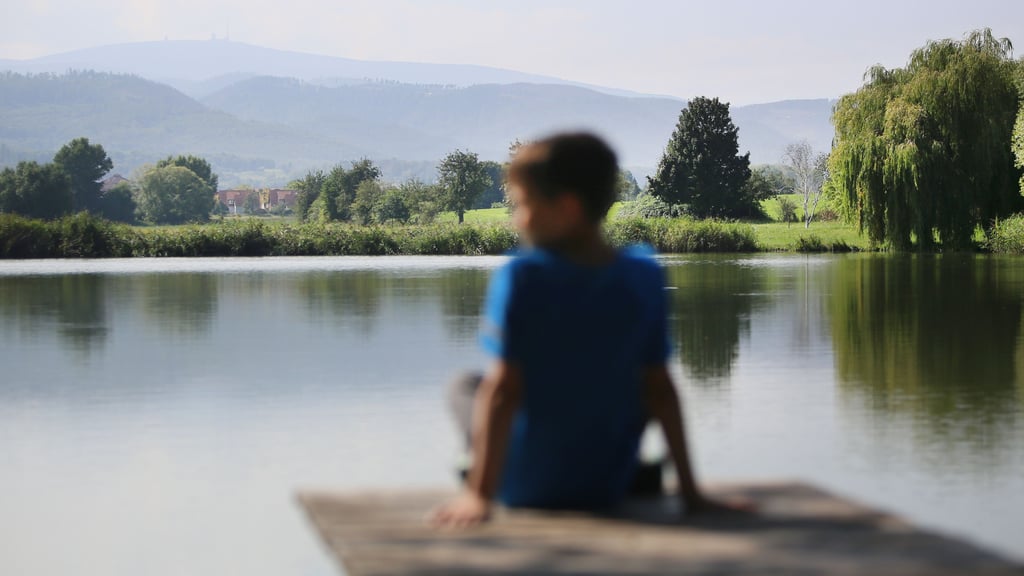 Wernigerode will bei Familien unter anderem mit seiner attraktiven Lage am Rande des Harzes punkten - hier die Aussicht vom Reddeberteich Richtung Brocken.