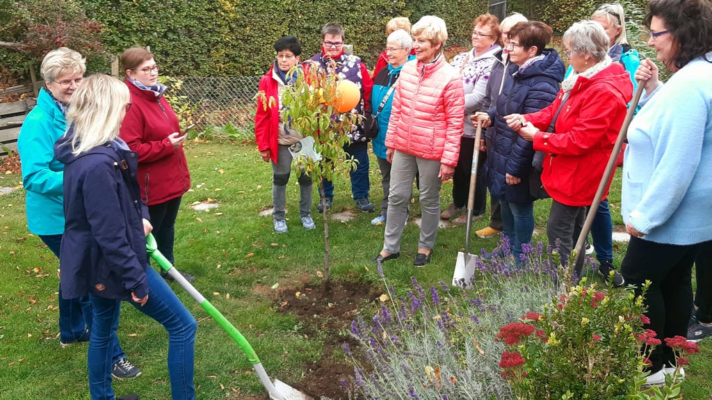 Spaten statt Gesangsbuch: Die Mitglieder des Frauenchors Osterwieck haben im Zuge der Baumpflanz-Challenge 2025 einen Pfirsichbaum gepflanzt.