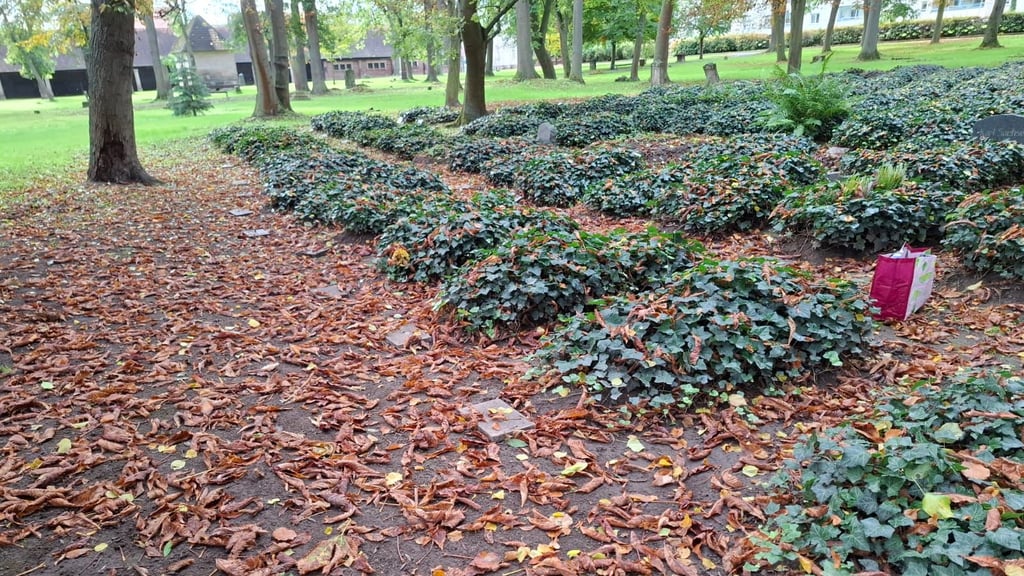 Neue Formen der Bestattung sorgen für viel Platz auf den Friedhöfen im Harz. 