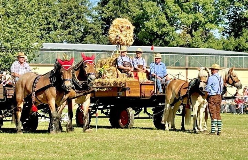 Geschmückte Pferdegespanne sind Teil der Reinstedter Landpartie. 
