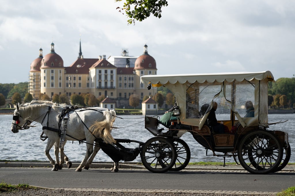 Die Kutschfahrt endete am Dienstagnachmittag abrupt nach dem Unfall. (Symbolbild)