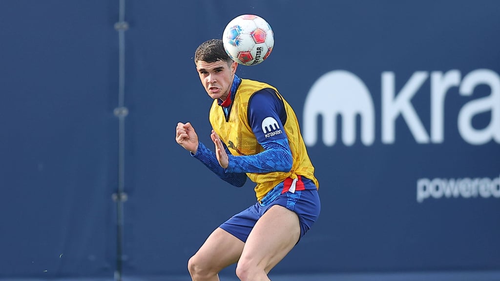 Kämpfernatur: Kosta Nedeljkovic.