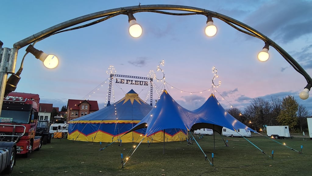 Der Circus Le Fleur hat seinen beheizten Zeltpalast auf dem Blankenburger Festplatz an der Neuen Halberstädter Straße aufgebaut.
