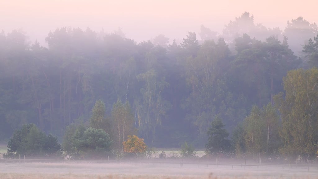 Die Nebelfelder lösen sich am Vormittag rasch auf. (Archivbild)