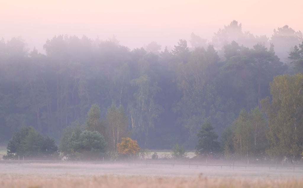 Die Nebelfelder lösen sich am Vormittag rasch auf. (Archivbild)