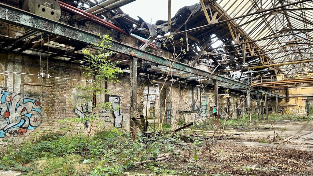 Ein Blick in eine der Hallen, als sie mit einer Ausnahmegenehmigung noch betreten werden durften. 