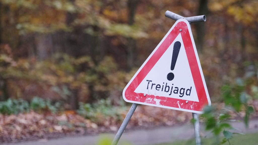 In Mansfeld-Südharz beginnt die Saison der Bewegungsjagden.