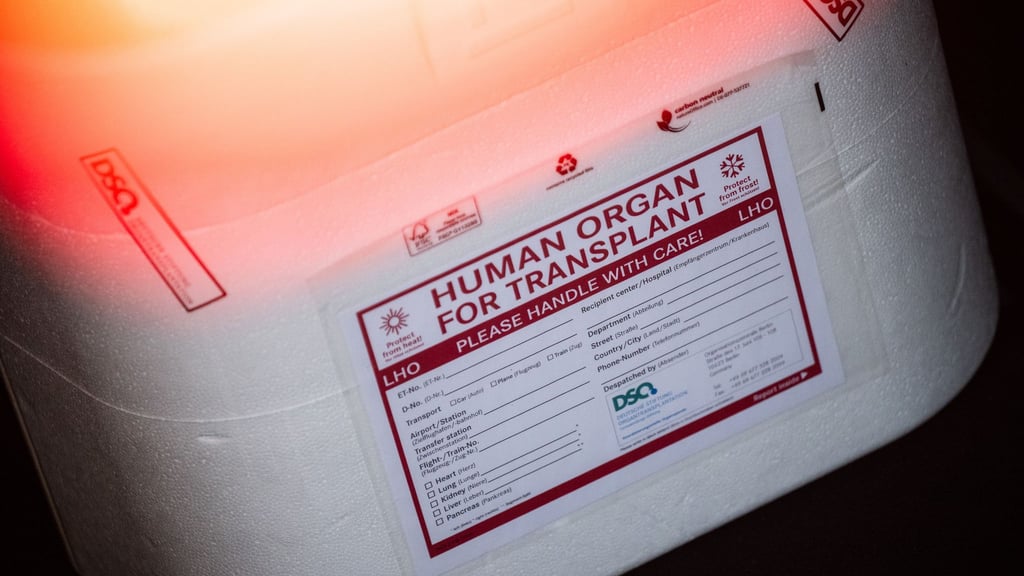 290 Menschen aus Thüringen stehen auf der Warteliste für Spenderorgane. (Symbolbild)