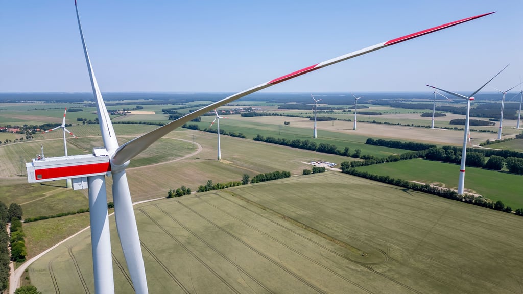 Ein Bild vom neuen Windpark im nahe gelegenen Zahna-Elster im Sommer 2025.