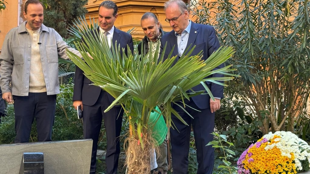 Unter den gestrengen Blicken des Fernsehteams sowie von MDR-Moderator Mario D. Richardt, Franco Reale, Camerlengo der Erzbruderschaft am "Campo Santo Teutonico" und des TV-Gärtners Marcus Bursian wässert Sachsen-Anhalts Ministerpräsident Rainer Haselhoff (von links) die frisch gepflanzte Palme im Vatikan in Rom.