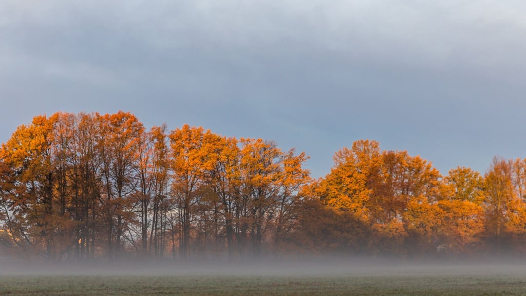 Nebel und Wolken hängen über Berlin und Brandenburg. (Symbolbild)