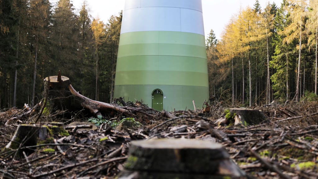 Ein Windrad steht in einem Wald. Vielleicht auch bald im Stadtwald Seehausen (Altmark)?