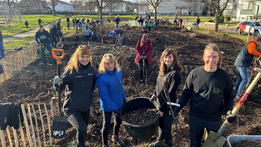 Der Verein „Otto pflanzt!“ startet wieder mit Pflanzungen in Magdeburg. Im vergangenen Jahr wurde so ein Tiny Forest in Neu-Olvenstedt geschaffen.
