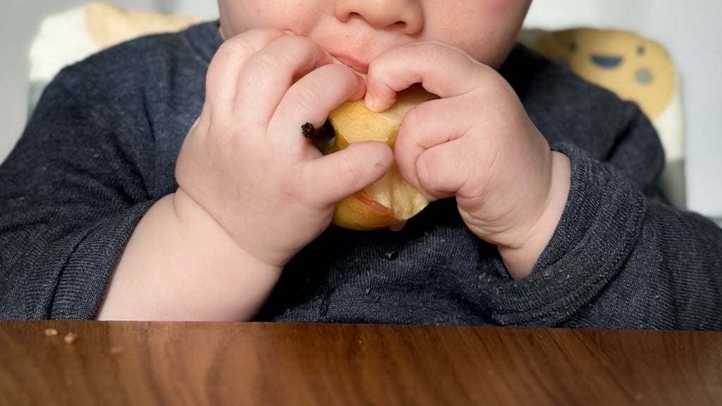 Ein ganzer Apfel ist für kleine Kinder zum Abnagen oft besser geeignet als Apfelstücke: Die Handhabung fällt leichter und das Verschluckrisiko sinkt.