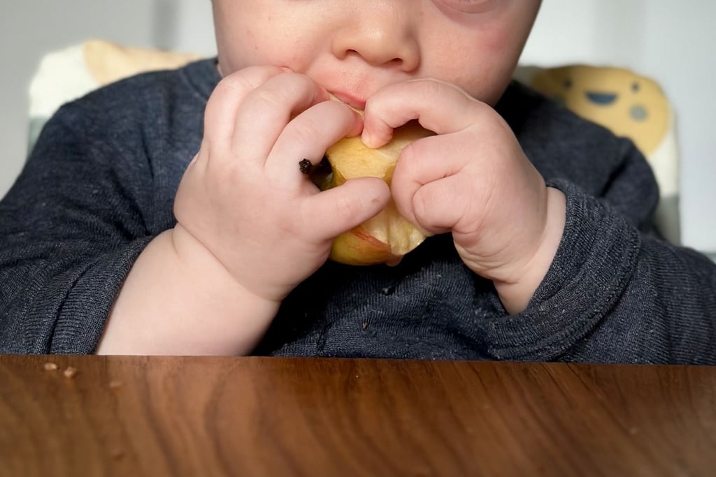 Ein ganzer Apfel ist für kleine Kinder zum Abnagen oft besser geeignet als Apfelstücke: Die Handhabung fällt leichter und das Verschluckrisiko sinkt.