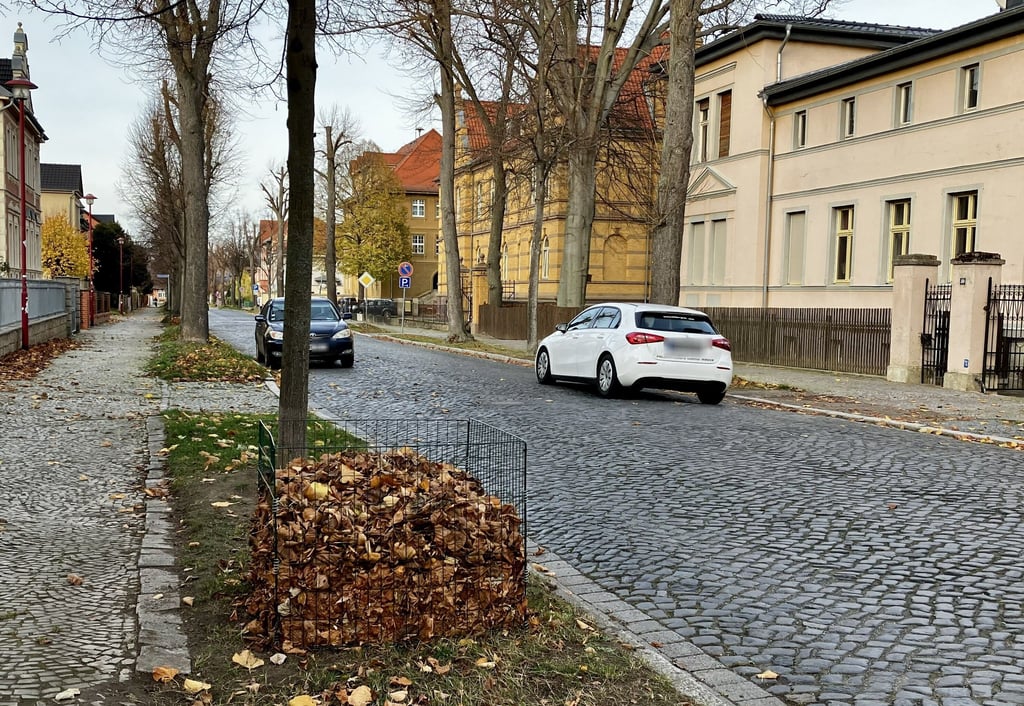 In der Ballenstedter Bebelstraße sammeln Anwohner das zusammengefegte Laub in großen Körben.