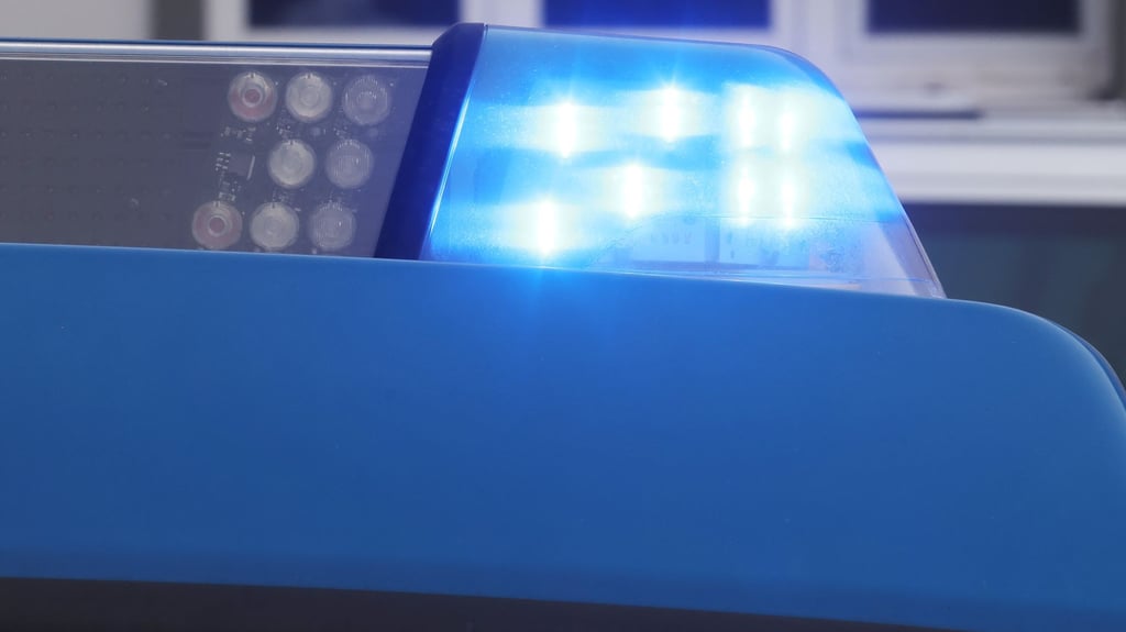 Anfang Oktober ist in Zielitz (Landkreis Börde) ein Pedelec gestohlen worden.