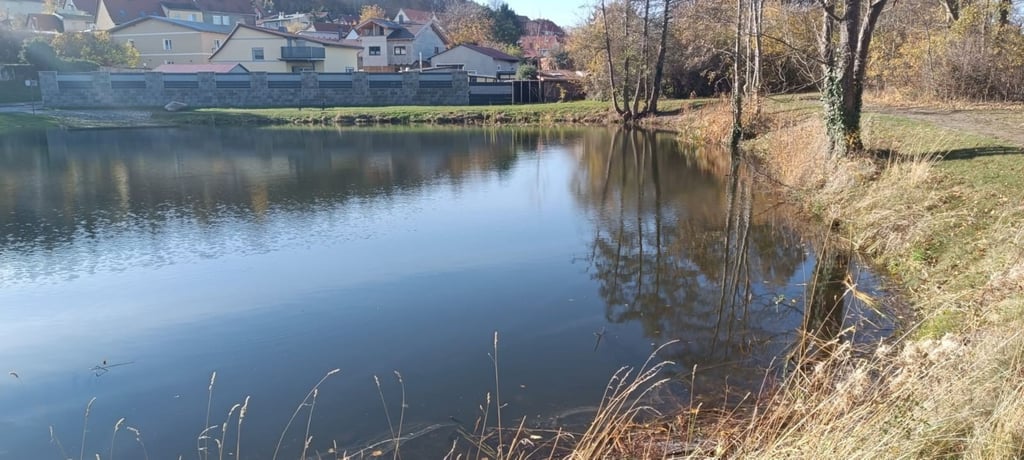 Das Gelände am Teich in Opperode soll zu einem Treffpunkt für den Ort werden. 