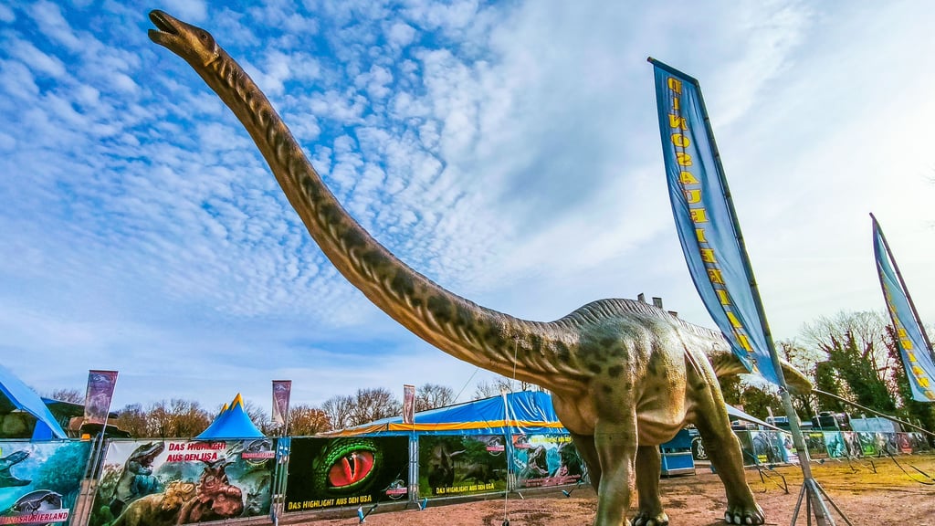 Der Brachiosaurus ist 32 Meter lang und der größte Dinosaurier der Ausstellung. 
