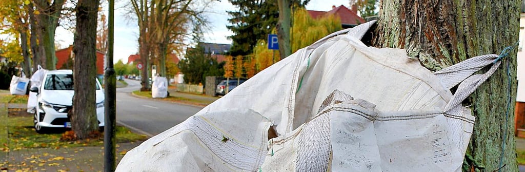Laubsäcke gehören aktuell zum Stadt- und Dorfbild.  
