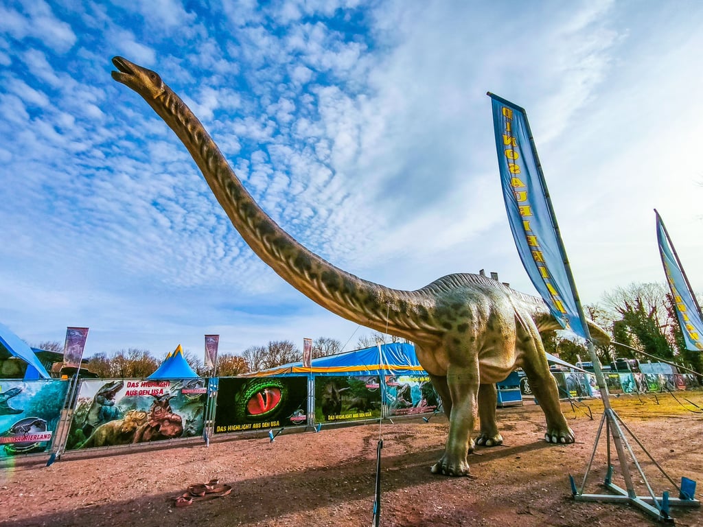 Der Brachiosaurus ist 32 Meter lang und der größte Dinosaurier der Ausstellung. 