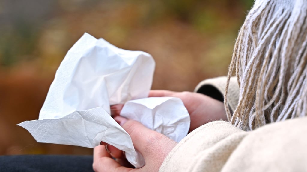 Zu Atemwegserkrankungen zählen kleinere Infekte wie ein Schnupfen aber auch die Grippe. (Symbolbild)