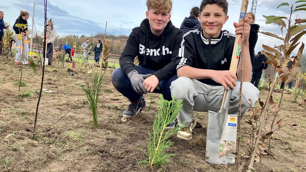 Ludwig und Jupp aus der Eulenklasse der Ganztagsschule Neinstedt haben sich dafür eingesetzt, dass auch Mammutbäume zum Miniwald bei Stahl Thale gehören. Sie knien vor einem jungen Exemplar. 