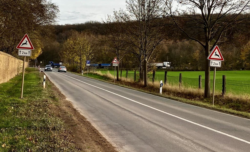 Die Landesstraße 242 zwischen Rieder und Ballenstedt ist stellenweise in sehr schlechtem Zustand. Wann sie saniert wird, ist noch unklar.