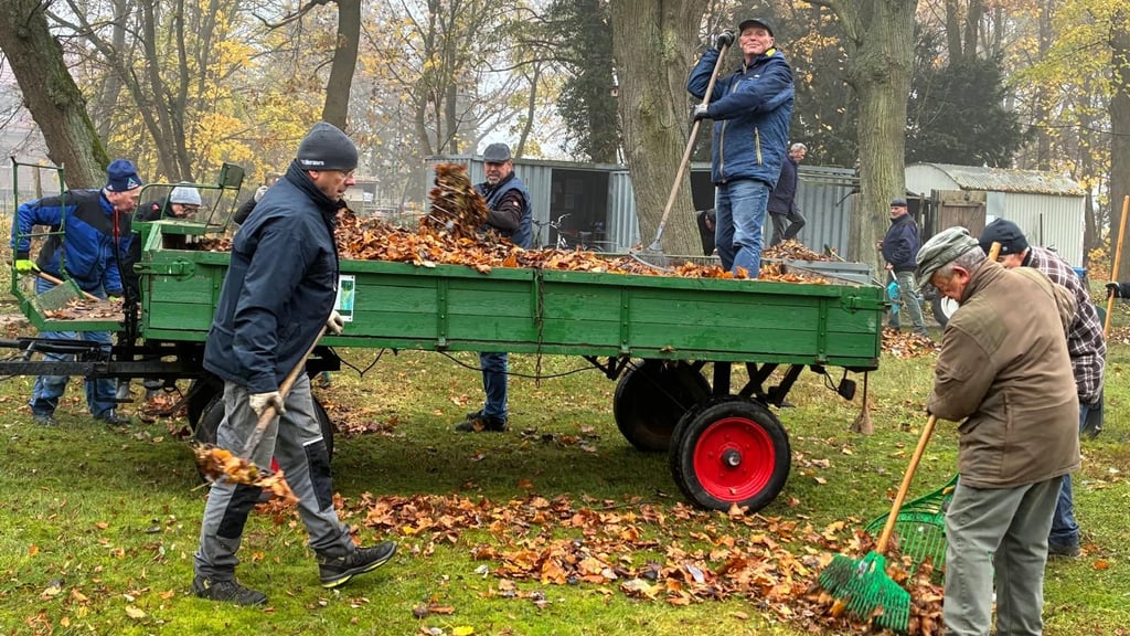 Fleißige Helfer harken im morgendlichen Nebel Laub auf dem Calvörder Friedhof zusammen – ein eingespieltes Team beim Herbsteinsatz.