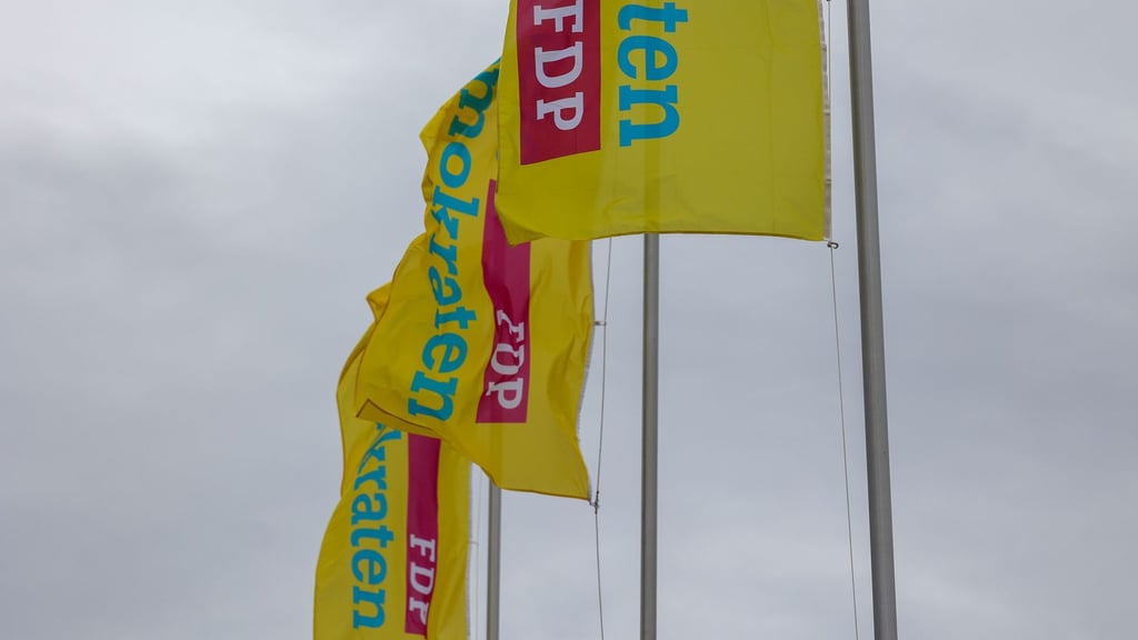 Wer führt die FDP in Sachsen-Anhalt in den Wahlkampf? (Archivbild)