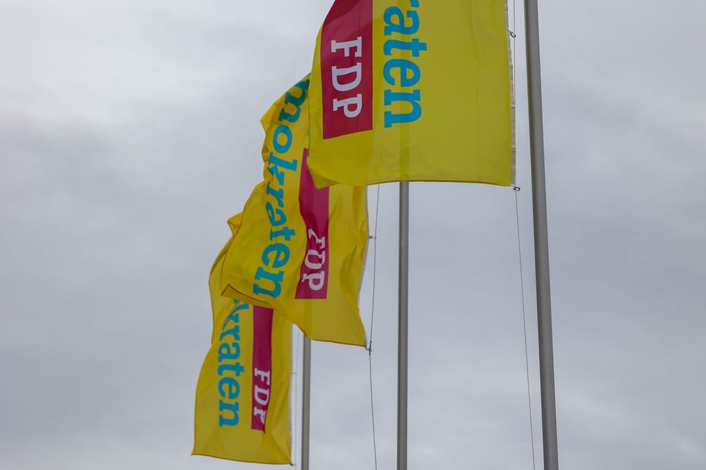 Wer führt die FDP in Sachsen-Anhalt in den Wahlkampf? (Archivbild)