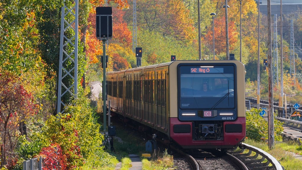 Bauarbeiten sorgen am Wochenende für Einschränkungen bei der S-Bahn. (Symbolbild)