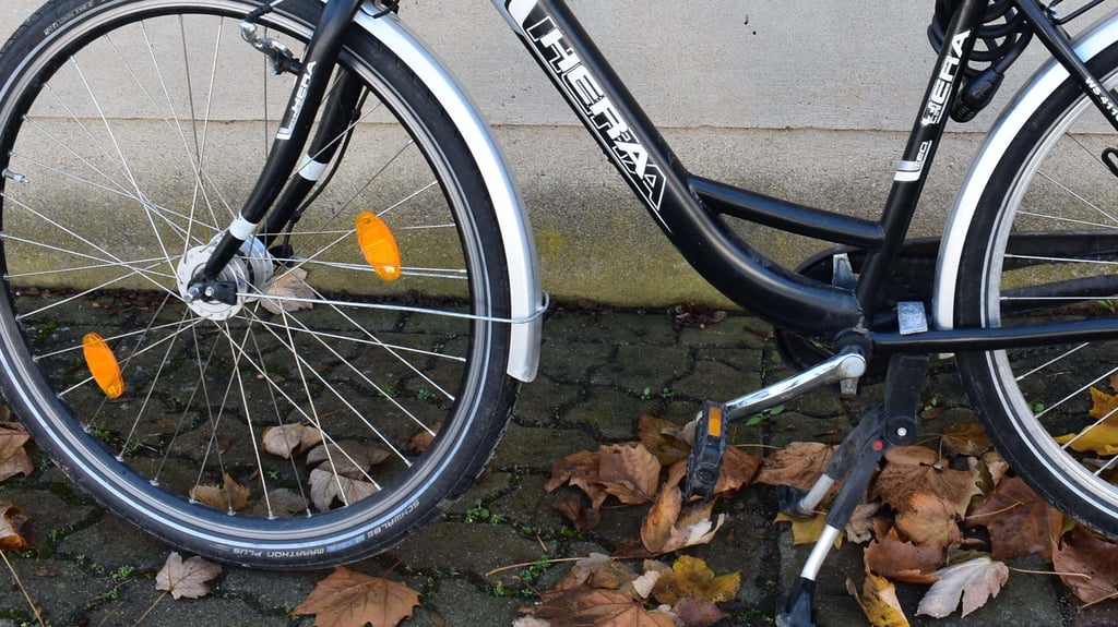 Ein Radfahrer ist in Holzweißig mit einem Hund kollidiert.