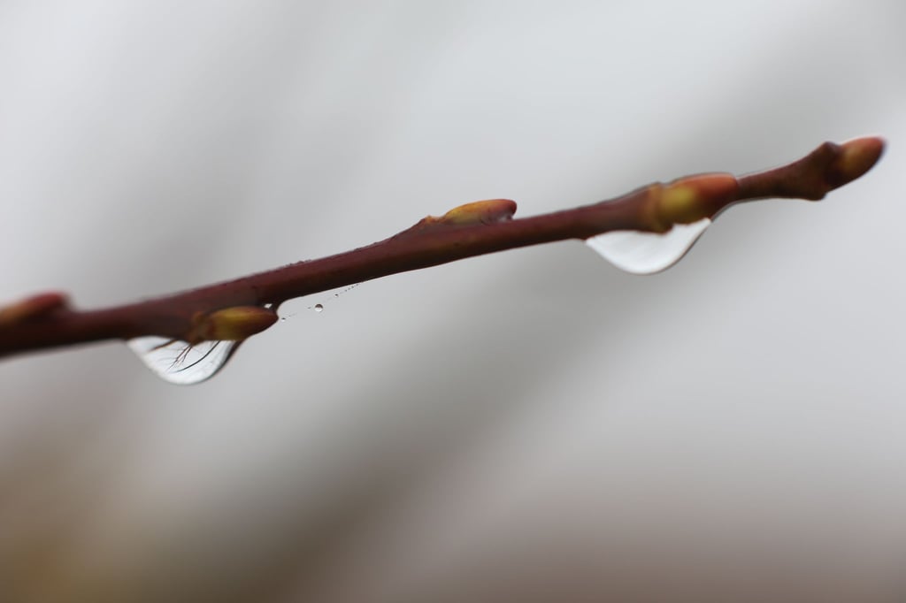 Im Oberharz kann das Thermometer nachts auch unter den Gefrierpunkt fallen. (Symbolbild)