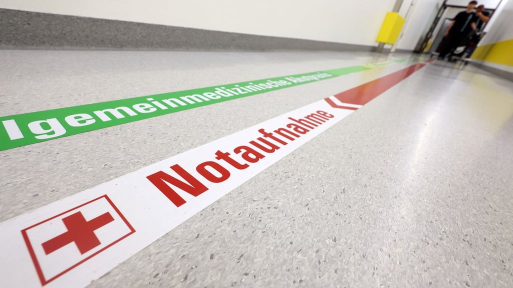 Abhängigkeit vom Weltmarkt, fehlende Reserven: Die CDU/CSU-Gesundheitspolitiker wollen bei Krisen besser gerüstet sein. (Symbolbild)