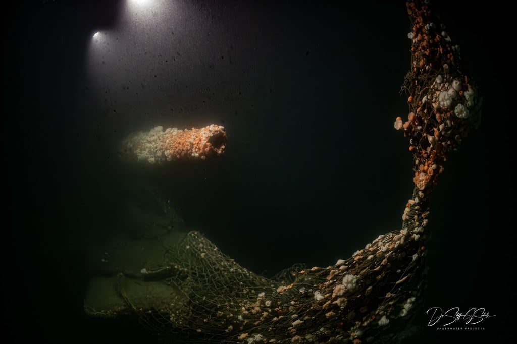 Die Tauchgänge fanden nach Angaben des Teams in großer Tiefe und unter herausfordernden Bedingungen statt.
