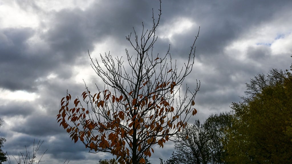 Herbstliches Wetter und kühlere Temperaturen werden in Berlin und Brandenburg erwartet. (Archivbild)