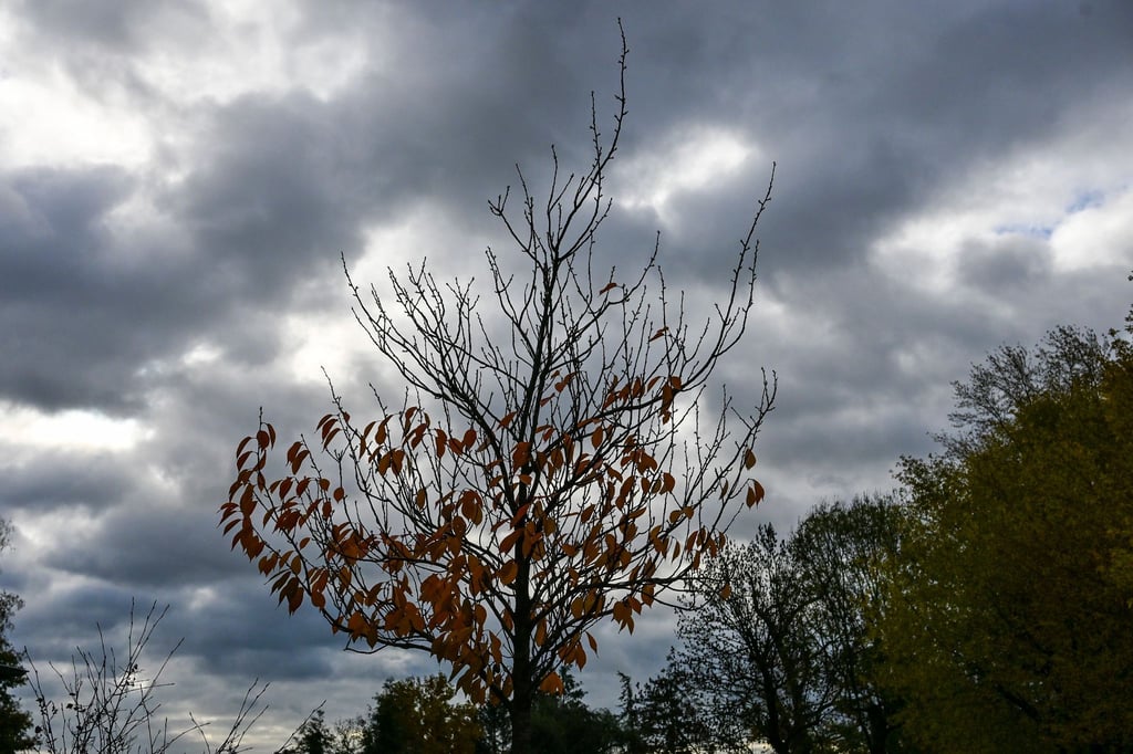 Herbstliches Wetter und kühlere Temperaturen werden in Berlin und Brandenburg erwartet. (Archivbild)
