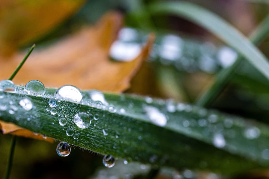 Nächste Woche heißt es: wärmer anziehen.