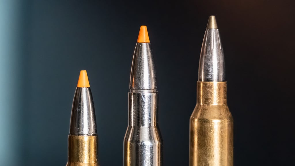 Jagdpatronen im Kaliber 308 Winchester (l-r), 30-06 Springfield und 300 Winchester Magnum stehen bei einem Jäger auf einem Waffenschrank. (Symbolbild)
