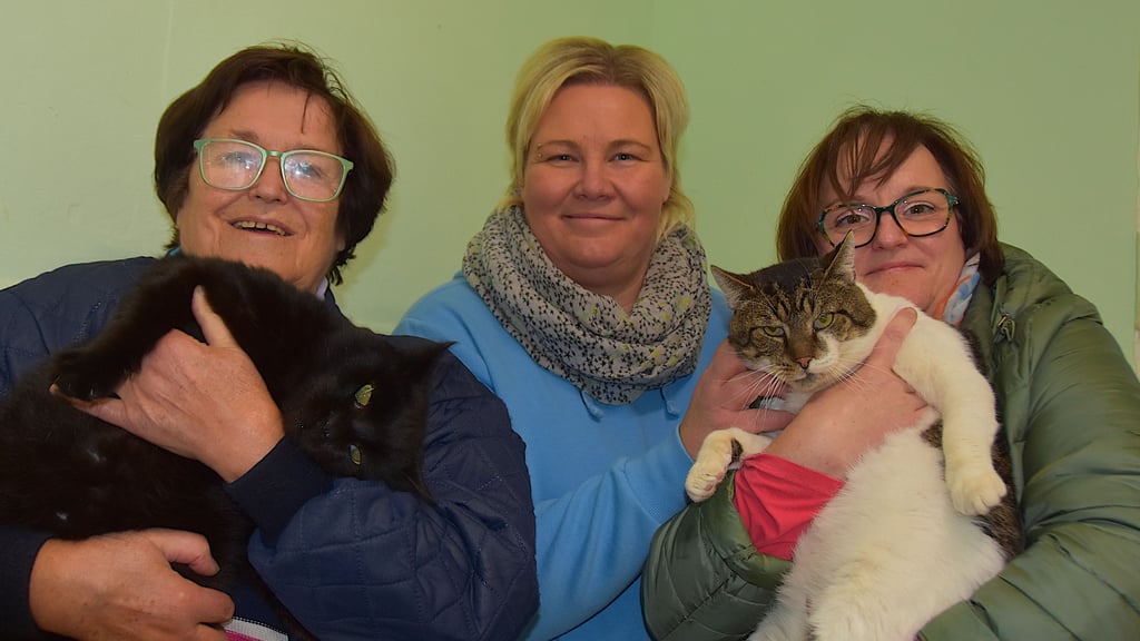 Tierheimleiterin Kathrin Behrens (Mitte) sowie Juliane Drewes (r.) und ihre Mutter Susanne Drewes haben ein großes Herz für Katzen. Für die Kater Hans und Christoph wird ein neues Zuhause gesucht.