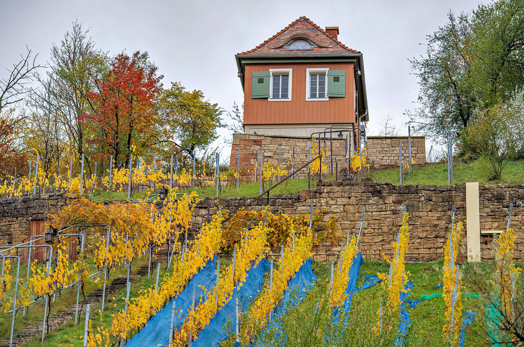 Lange war das Weinbergshäuschen oberhalb der Gutedel-Reben ein Lagerraum. Jetzt kann im Dachgeschoss sogar übernachtet werden.