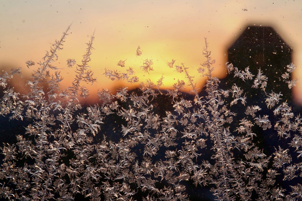 Am Wochenende waren es noch milde Temperaturen - jetzt hält der Frost in Sachsen-Anhalt Einzug. 