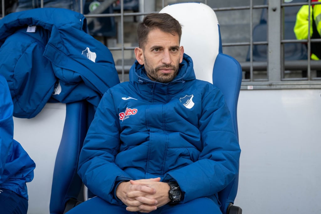 Ende der Amtszeit bei der TSG Hoffenheim: Theodoros Dedes (Archivbild)