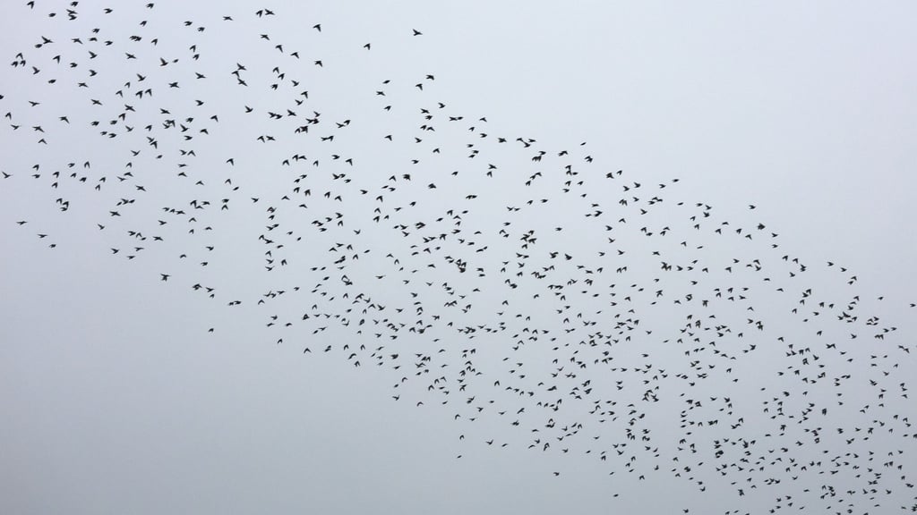 Bei um die sechs Grad liegen laut Deutschem Wetterdienst heute die Höchsttemperaturen in Mitteldeutschland. (Symbolbild)