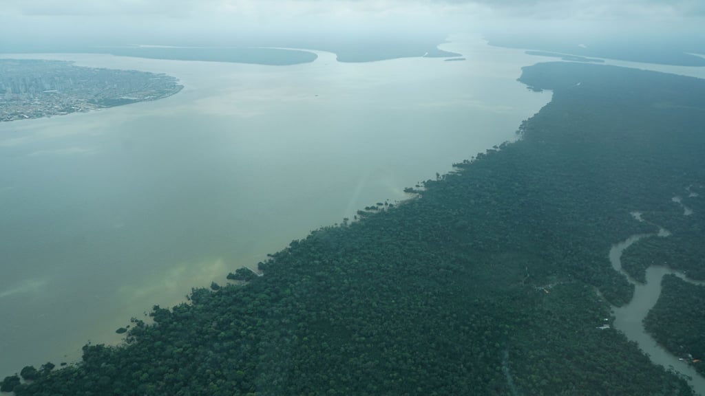 Durch den an die Millionenstadt Belém grenzenden Wald fließt der Fluss Guama.