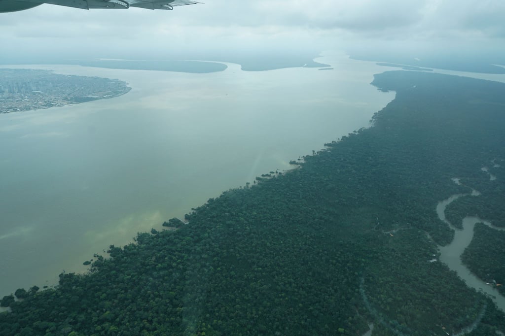 Durch den an die Millionenstadt Belém grenzenden Wald fließt der Fluss Guama.